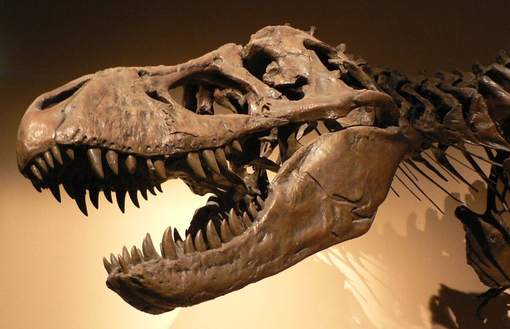 São Luís recebe exposição gratuita sobre dinossauros, fósseis e história da Terra
