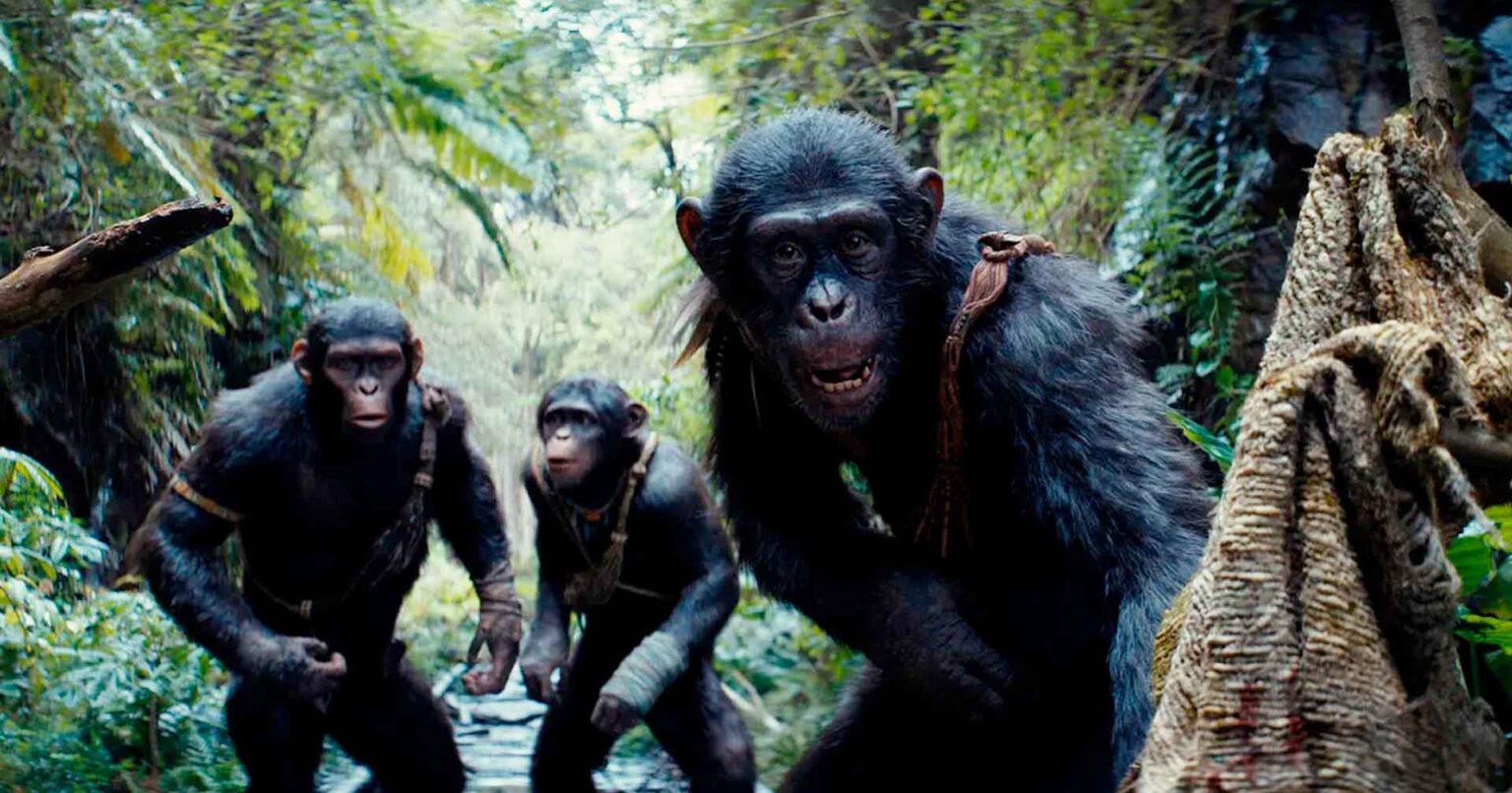 “Planeta dos Macacos: O Reinado” assume liderança nas bilheterias do Brasil