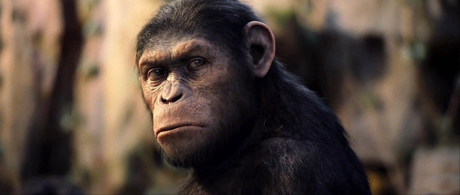 “Planeta dos Macacos” terá sequência e aposta em César como protagonista